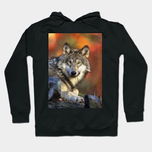 AUTUMN WOLF Hoodie